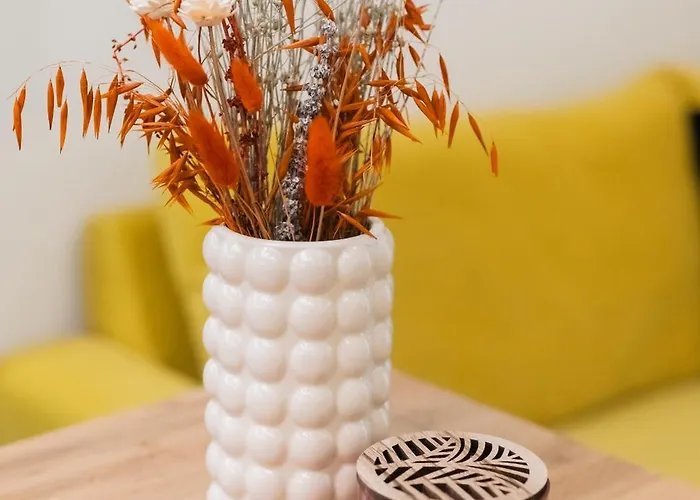 Nomads Nest The Urban